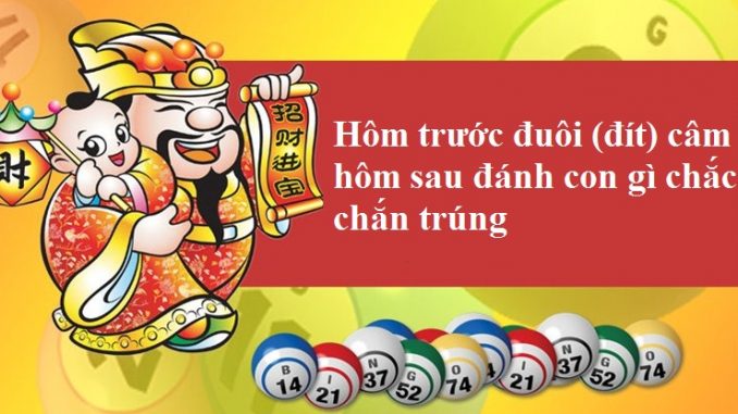 Hôm trước đuôi câm hôm sau nên đánh con gì?